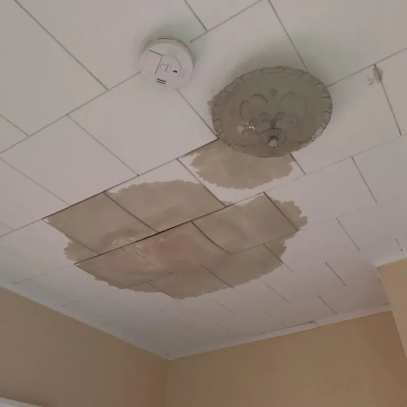 Ceiling Water Damage Repair in Colonial Heights, TN