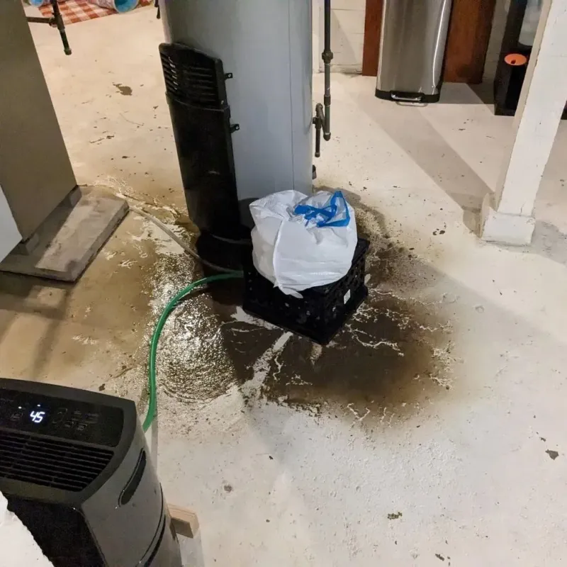 Sewage Backup Cleanup Service in Colonial Heights, TN